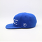Yetişkin Düz Ağızlı Snapback Şapkalar Plastik Kapatma 6 Panel Mavi Renk