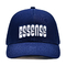 Dayanıklı El Yıkama Beyzbol Şapkası Düz nakışlı Logo Eşleşen Kumaş Rengi