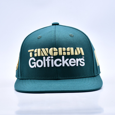 3D nakış Logo Şık Kalite 6 Panel Snapback Şapka Sıcak Satış